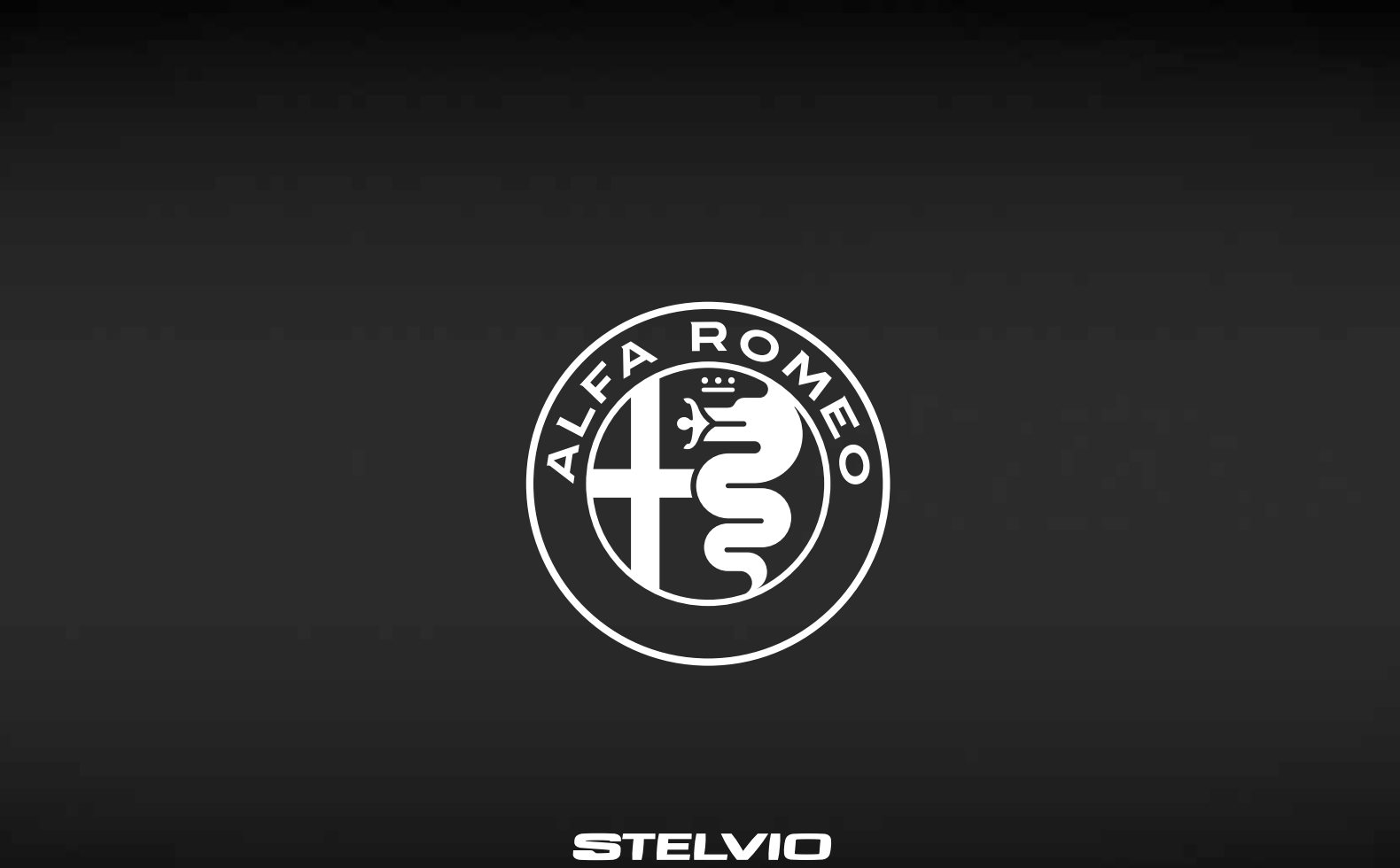 Stelvio manual
